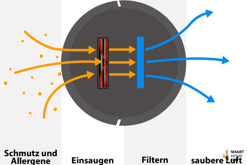 Saugroboter zum Entfernen von Staub und Tierhaaren